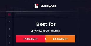 BuddyApp Mobile First Community WordPress theme