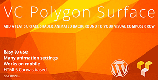 VC Polygon Surface