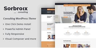 Sorbroix : Business Consulting