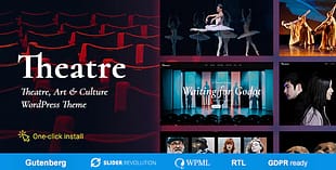 Theater - Concert & Art