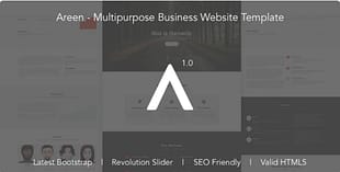 Areen - Multipurpose Business Website Template