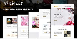 Emily - Responsive Email Template