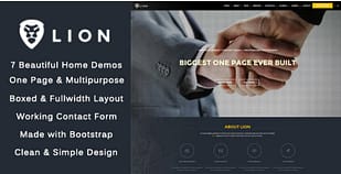 Lion - One Page &