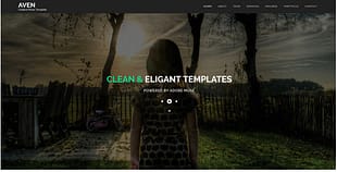 Aven - Multipurpose Parallax Muse