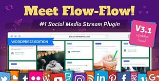 Flow-Flow WordPress Social Stream Plugin