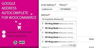 Google Address Autocomplete for