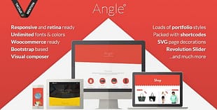 Angle Flat Responsive Bootstrap
