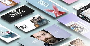 Animo - Creative & Clean