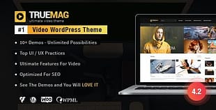 Oscend pluse WordPress Theme