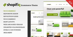 Shopifiq Responsive WordPress WooCommerce
