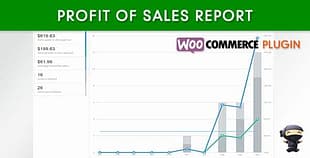 WooCommerce Profit of Sales