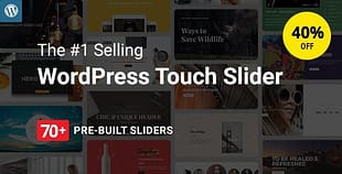 Master Slider - Touch Layer