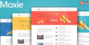 Moxie - Responsive Theme for