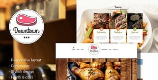 Tesla Themes Downtown WordPress