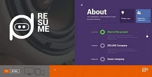 Tesla Themes Resume WordPress