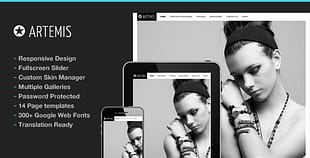 Photography WordPress Artemis for