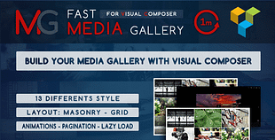 Fast Media Gallery For Visual