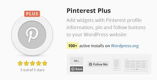 Pinterest Plus