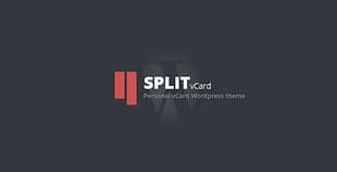 Split WordPress CV