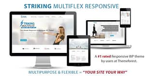 Striking MultiFlex And Ecommerce Responsive