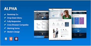 Alpha - Business Consulting and Financial