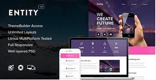 Entity - Responsive Email + Themebuilder