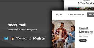 Way Mail -30 Modules Online Access Mailster Mailchimp