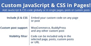 Custom JavaScript & CSS in Pages!