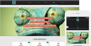 Tesla Themes Electra WordPress