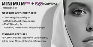 MINIMUM - Professional WordPress Theme
