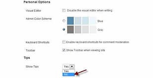 WPMU DEV Admin Panel Tips