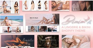 Binim - Lingerie & Bikini Responsive Shopify