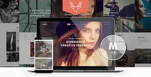 Moose - Creative Multi-Purpose Theme
