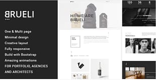 Brueli - Minimal Portfolio / Agency