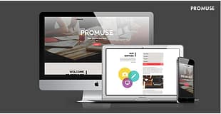 Promuse - Business Parallax Muse