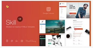 Skill - Modern & Creative HTML5 Template