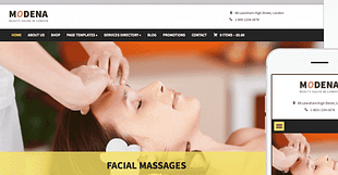 WPZoom Modena WordPress Theme