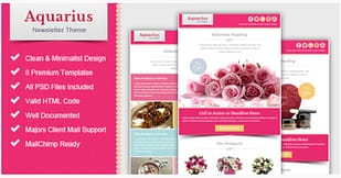 Valentine Email Marketing & Newsletter