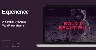 Experience-Showcase WordPress Theme