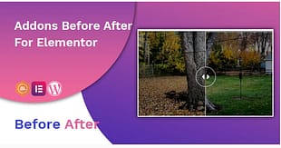 Before After Image Slider