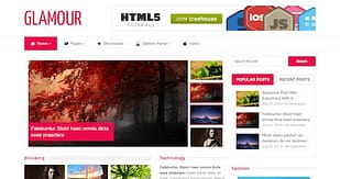 MyThemeShop Glamour WordPress Theme