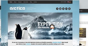 AIT - Arctica WordPress Theme