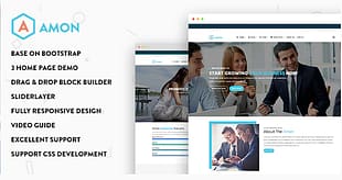Amon - Responsive Business Drupal