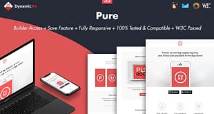 Pure - Responsive Email + Online
