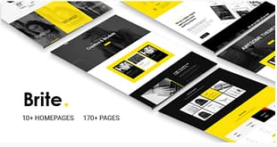 Brite - Responsive MultiPurpose HTML5 Website Template - Business