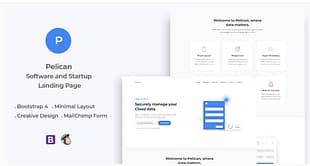 Pelican Startup and Software