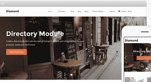 WPZoom Diamond WordPress Theme