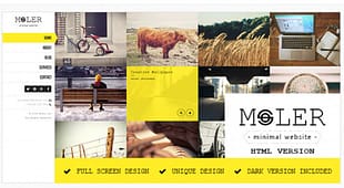 Moler - Full Screen Portfolio