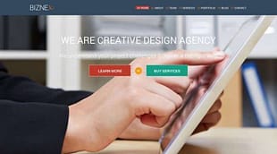 Tesla Themes Biznex WordPress