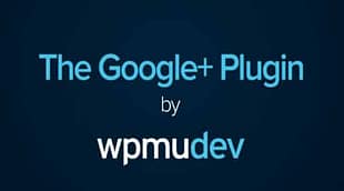 WPMU The Google+ Plugin